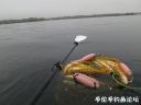 Filename=attachID_24187_postID_222084_6.jpg
Filesize=61KiB
Dimensions=1000x750
Date added=Dec 02, 2016 attachID_24187_postID_222084_6.jpg