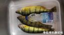 attachID_24189_postID_222086_20161002_142049.jpg