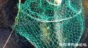 Filename=attachID_24286_postID_223282_20161009_104815.jpg
Filesize=170KiB
Dimensions=1000x562
Date added=Dec 02, 2016 attachID_24286_postID_223282_20161009_104815.jpg
