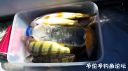 attachID_24309_postID_223450_20161010_135728.jpg