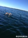 Filename=attachID_24313_postID_223465_image.jpeg
Filesize=95KiB
Dimensions=750x1000
Date added=Dec 02, 2016 attachID_24313_postID_223465_image.jpeg