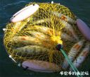 Filename=attachID_24394_postID_224062_7.jpg
Filesize=142KiB
Dimensions=976x835
Date added=Dec 02, 2016 attachID_24394_postID_224062_7.jpg