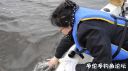 Filename=attachID_24595_postID_226191_a14.jpg
Filesize=66KiB
Dimensions=1000x562
Date added=Dec 02, 2016 attachID_24595_postID_226191_a14.jpg