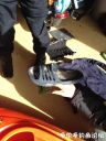 Filename=attachID_24704_postID_226731_2016-10-2615_41_27.jpg
Filesize=90KiB
Dimensions=750x1000
Date added=Dec 02, 2016 attachID_24704_postID_226731_2016-10-2615_41_27.jpg