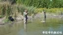 Filename=attachID_24811_postID_227361_DSC08811.JPG
Filesize=148KiB
Dimensions=1000x562
Date added=Dec 02, 2016 attachID_24811_postID_227361_DSC08811.JPG