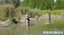 Filename=attachID_24813_postID_227361_DSC08813.JPG
Filesize=158KiB
Dimensions=1000x562
Date added=Dec 02, 2016 attachID_24813_postID_227361_DSC08813.JPG
