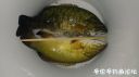 Filename=attachID_24845_postID_227608_20161029_192547.jpg
Filesize=56KiB
Dimensions=1000x562
Date added=Dec 02, 2016 attachID_24845_postID_227608_20161029_192547.jpg
