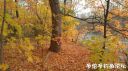 Filename=attachID_24908_postID_228086_IMG_20161101_7805.jpg
Filesize=133KiB
Dimensions=1000x562
Date added=Dec 02, 2016 attachID_24908_postID_228086_IMG_20161101_7805.jpg