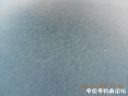 Filename=attachID_24944_postID_228260_DSCN0208.JPG
Filesize=61KiB
Dimensions=1000x750
Date added=Dec 02, 2016 attachID_24944_postID_228260_DSCN0208.JPG