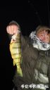 Filename=attachID_25094_postID_228973_DSC04651.JPG
Filesize=57KiB
Dimensions=562x1000
Date added=Dec 02, 2016 attachID_25094_postID_228973_DSC04651.JPG