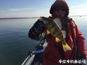 Filename=attachID_25179_postID_230316_mmexport1479250004275.jpg
Filesize=67KiB
Dimensions=1000x750
Date added=Dec 02, 2016 attachID_25179_postID_230316_mmexport1479250004275.jpg