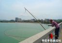 Filename=attachID_25263_postID_231086_lao_minnow2.jpg
Filesize=66KiB
Dimensions=1000x696
Date added=Dec 02, 2016 attachID_25263_postID_231086_lao_minnow2.jpg