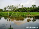Filename=attachID_25265_postID_231086_lao_minnow4.jpg
Filesize=116KiB
Dimensions=1000x750
Date added=Dec 02, 2016 attachID_25265_postID_231086_lao_minnow4.jpg