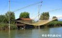 Filename=attachID_25266_postID_231086_lao_minnow5.jpg
Filesize=138KiB
Dimensions=1000x626
Date added=Dec 02, 2016 attachID_25266_postID_231086_lao_minnow5.jpg