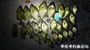 Filename=attachID_25318_postID_231677_2016-11-0802_52_37.jpg
Filesize=139KiB
Dimensions=1000x562
Date added=Dec 02, 2016 attachID_25318_postID_231677_2016-11-0802_52_37.jpg