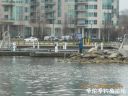 attachID_25489_postID_233173_DSCN0383.JPG