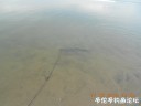 Filename=attachID_25913_postID_237861_DSCN0418~1.JPG
Filesize=47KiB
Dimensions=1000x750
Date added=Dec 18, 2016 attachID_25913_postID_237861_DSCN0418~1.JPG