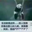 Filename=attachID_26182_postID_240301_IMG_2547.JPG
Filesize=31KiB
Dimensions=602x610
Date added=Jan 05, 2017 attachID_26182_postID_240301_IMG_2547.JPG