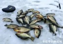 Filename=attachID_26328_postID_241308_01a.jpg
Filesize=119KiB
Dimensions=1000x704
Date added=Jan 05, 2017 attachID_26328_postID_241308_01a.jpg