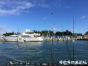 attachID_26418_postID_241718_IMG_3311.JPG