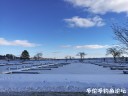 attachID_26423_postID_241758_IMG_20170101_122520_1.jpg