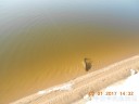Filename=attachID_26457_postID_242000_DSCN0490.JPG
Filesize=54KiB
Dimensions=1000x750
Date added=Jan 05, 2017 attachID_26457_postID_242000_DSCN0490.JPG