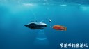 Filename=attachID_26606_postID_243220_raybg.jpg
Filesize=35KiB
Dimensions=1000x551
Date added=Jan 22, 2017 attachID_26606_postID_243220_raybg.jpg