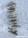 Filename=attachID_26662_postID_243777_IMG_1678.JPG
Filesize=103KiB
Dimensions=750x1000
Date added=Jan 22, 2017 attachID_26662_postID_243777_IMG_1678.JPG