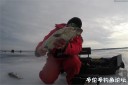 attachID_26663_postID_243839_white.jpg