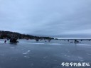 attachID_26665_postID_243852_IMG_0784.JPG