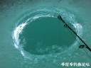 attachID_26667_postID_243856_IMG_0785.JPG