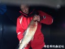 attachID_26710_postID_244069_IMG_2609.JPG