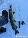 Filename=attachID_26715_postID_244096_IMG_1823.JPG
Filesize=78KiB
Dimensions=750x1000
Date added=Jan 22, 2017 attachID_26715_postID_244096_IMG_1823.JPG