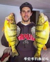 Filename=attachID_26725_postID_244259_simcoe_jumbo_perch.jpg
Filesize=105KiB
Dimensions=625x781
Date added=Jan 22, 2017 attachID_26725_postID_244259_simcoe_jumbo_perch.jpg