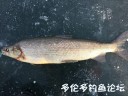 Filename=attachID_26733_postID_244330_kbay_2.jpg
Filesize=71KiB
Dimensions=625x469
Date added=Jan 22, 2017 attachID_26733_postID_244330_kbay_2.jpg