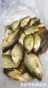 Filename=attachID_26829_postID_245193_2017-1-20S2Bisie60244.jpeg
Filesize=98KiB
Dimensions=562x1000
Date added=Jan 22, 2017 attachID_26829_postID_245193_2017-1-20S2Bisie60244.jpeg