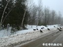 attachID_26833_postID_245243_IMG_20170121_075905.jpg