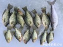 attachID_26851_postID_245349_IMG_20170121_143545.jpg