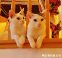 Filename=attachID_26899_postID_245745_20160109_085324_mh1452612143207.jpg
Filesize=126KiB
Dimensions=1000x947
Date added=Mar 25, 2017 attachID_26899_postID_245745_20160109_085324_mh1452612143207.jpg