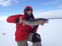 Filename=attachID_2697_postID_20341_lakerIMG_1116.jpg
Filesize=61KiB
Dimensions=1024x768
Date added=Dec 02, 2016 attachID_2697_postID_20341_lakerIMG_1116.jpg