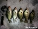 Filename=attachID_27079_postID_247046_IMG_20170128_185915.jpg
Filesize=133KiB
Dimensions=1000x750
Date added=Mar 25, 2017 attachID_27079_postID_247046_IMG_20170128_185915.jpg