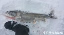 Filename=attachID_27313_postID_249147_20170207_122938.jpg
Filesize=50KiB
Dimensions=1000x562
Date added=Mar 25, 2017 attachID_27313_postID_249147_20170207_122938.jpg