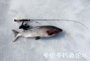 Filename=attachID_27343_postID_249563_white1.jpg
Filesize=40KiB
Dimensions=625x429
Date added=Mar 25, 2017 attachID_27343_postID_249563_white1.jpg