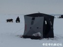 Filename=attachID_27393_postID_249963_IMG_0911.JPG
Filesize=36KiB
Dimensions=1000x750
Date added=Mar 25, 2017 attachID_27393_postID_249963_IMG_0911.JPG