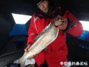 Filename=attachID_27432_postID_250221_IMG_2674.JPG
Filesize=83KiB
Dimensions=1000x750
Date added=Mar 25, 2017 attachID_27432_postID_250221_IMG_2674.JPG