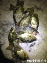 Filename=attachID_27439_postID_250247_IMG_6144.JPG
Filesize=105KiB
Dimensions=750x1000
Date added=Mar 25, 2017 attachID_27439_postID_250247_IMG_6144.JPG