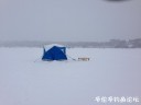 Filename=attachID_27443_postID_250276_IMG_2678.JPG
Filesize=30KiB
Dimensions=1000x750
Date added=Mar 25, 2017 attachID_27443_postID_250276_IMG_2678.JPG