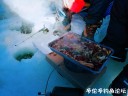 Filename=attachID_27632_postID_251756_IMG_20170218_110453_mh1487433938380.jpg
Filesize=86KiB
Dimensions=1000x750
Date added=Mar 25, 2017 attachID_27632_postID_251756_IMG_20170218_110453_mh1487433938380.jpg