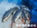 Filename=attachID_27667_postID_252110_image.jpeg
Filesize=31KiB
Dimensions=573x438
Date added=Mar 25, 2017 attachID_27667_postID_252110_image.jpeg