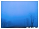 Filename=attachID_27741_postID_253051_IMG_20170223_064926_mh1487853899171.jpg
Filesize=47KiB
Dimensions=1000x750
Date added=Mar 25, 2017 attachID_27741_postID_253051_IMG_20170223_064926_mh1487853899171.jpg